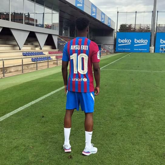 91 蝌蚪 九色